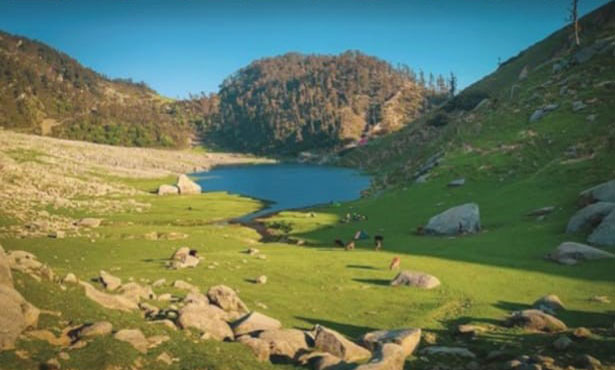 Hotel near The Forest Research Institute Dehradun